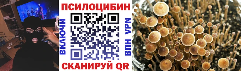 Псилоцибиновые грибы мицелий Купить где Углегорск